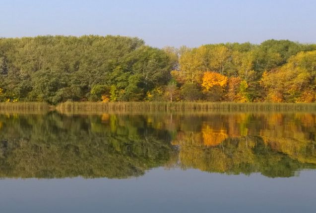 Фестиваль «Музыкальное сердце театра» открыл сезон в Театре Моссовета